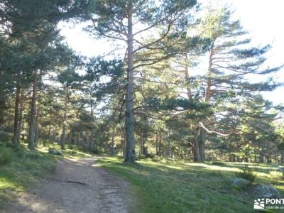 Abantos y Puerto de Malagón; ermita de hontanares bosque de faedo ruta de las xanas asturias pico ab